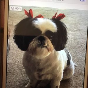 Meet your Posher, Terry